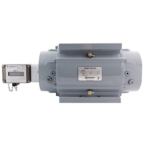 Rotary Gas Meters